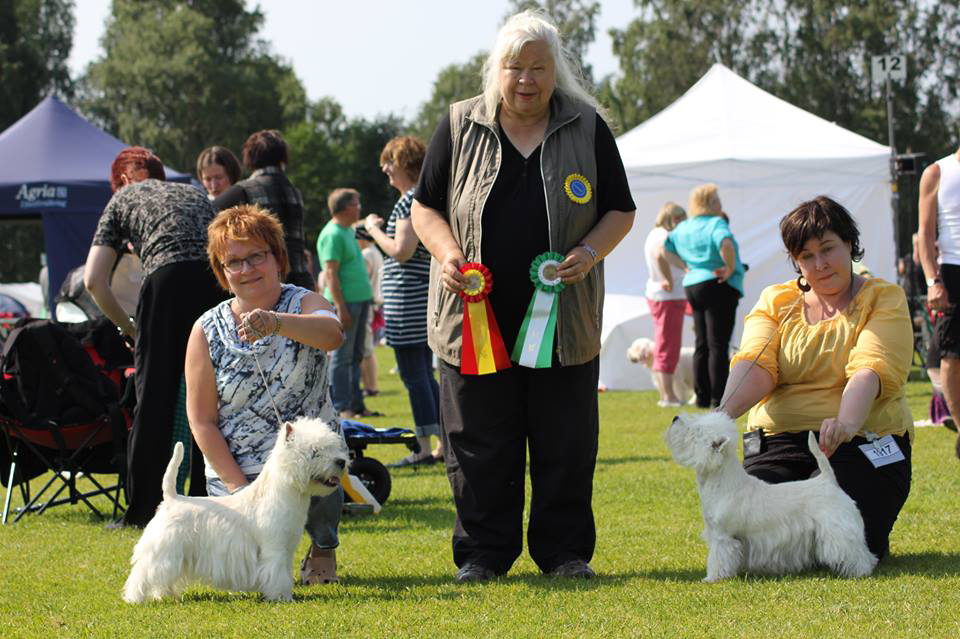 Werneri ROP Pitea 7.7.2013